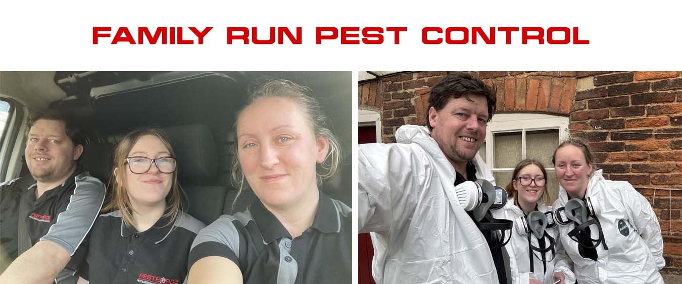 Family run Loughborough Pest Control
