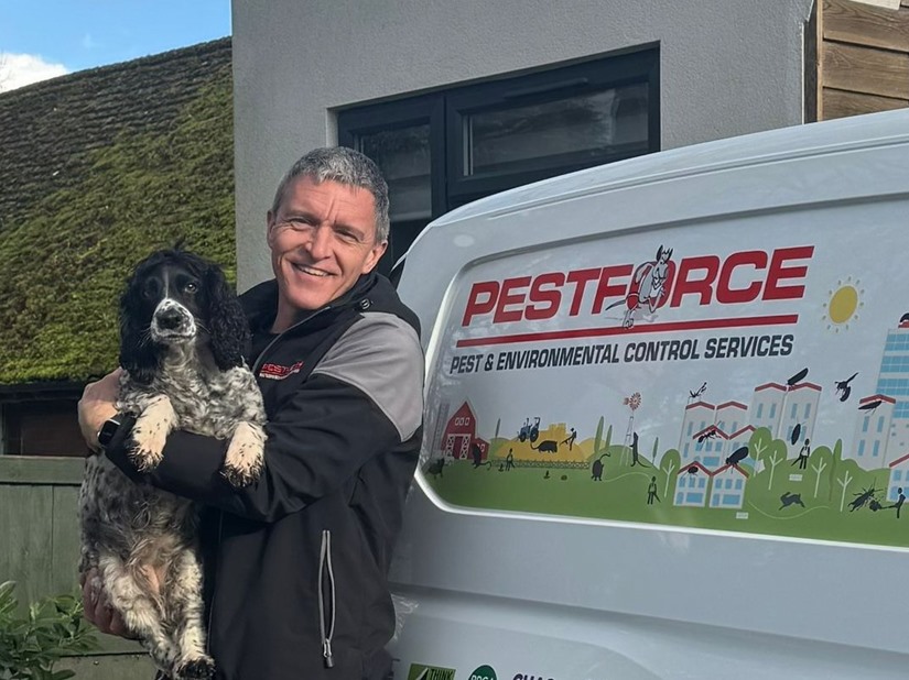 Pest Control Ashford