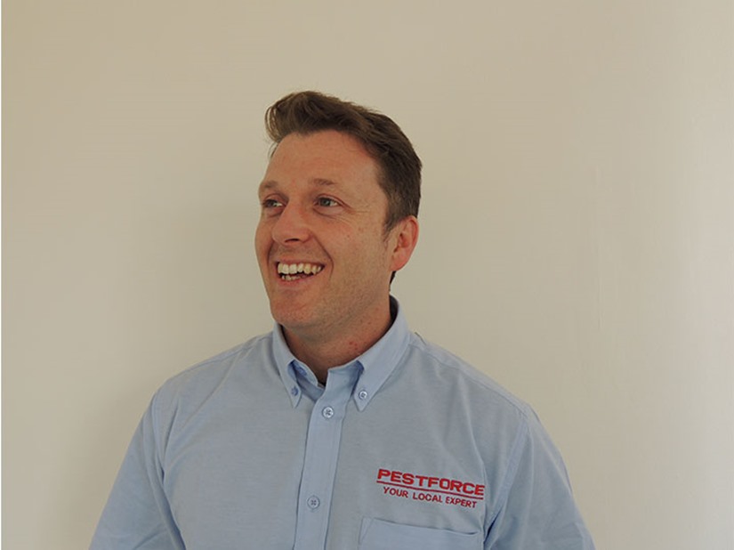Southampton Pest Control 