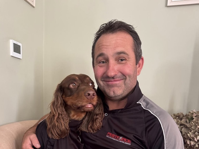 Pest Control in Basildon