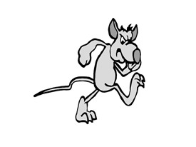 Pest Control Ilkley
