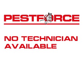 Pest Control Newbury