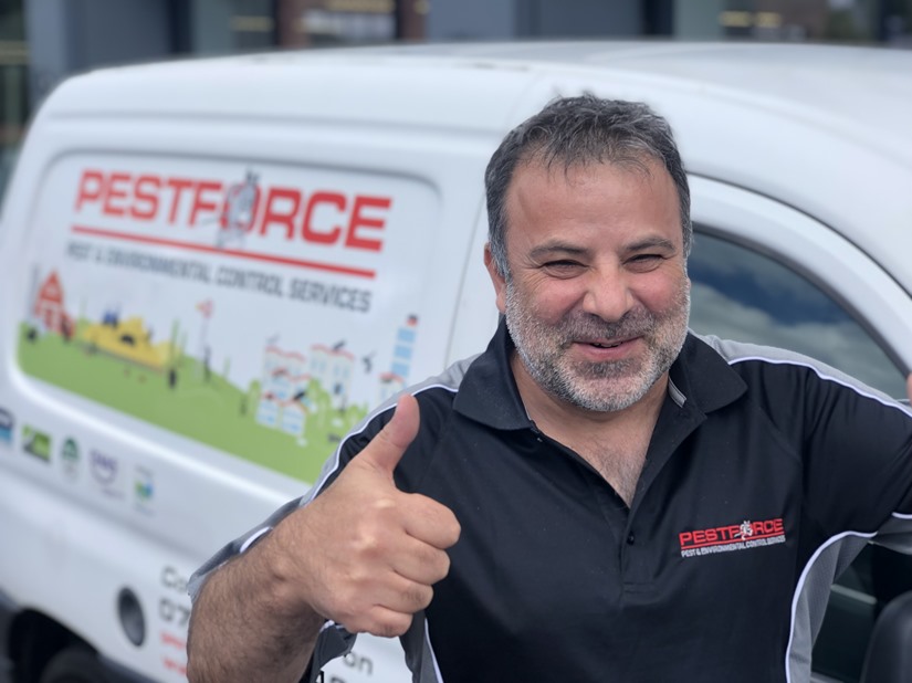 Pest Control North London
