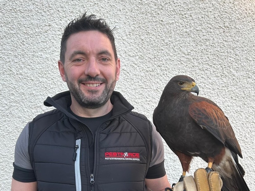 Pest Control Weston-super-Mare 