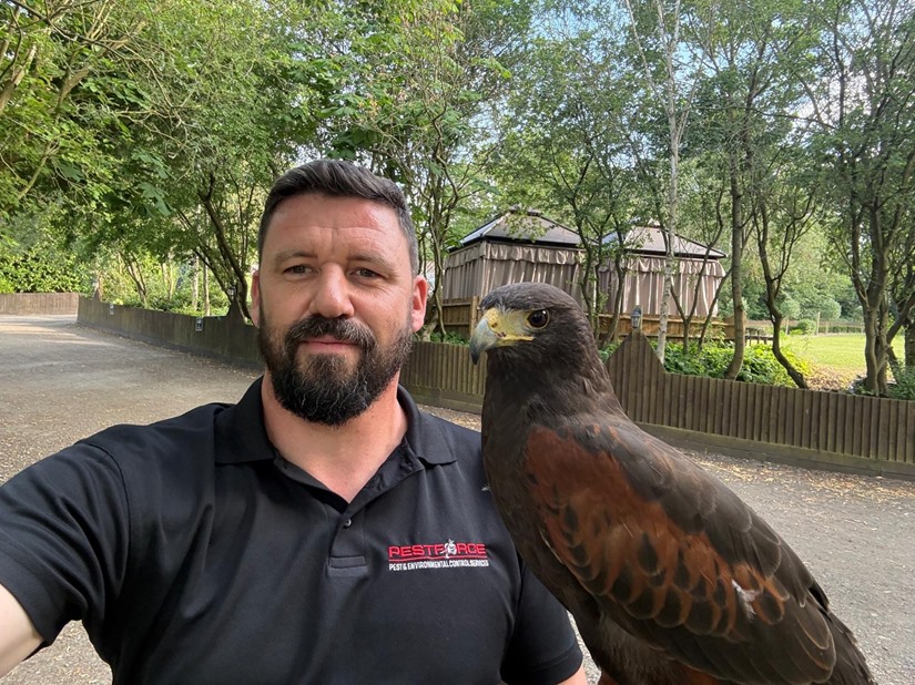 Bird Control Essex