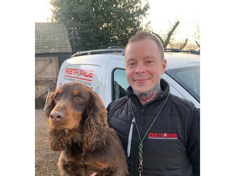 Pest Control Woodbridge