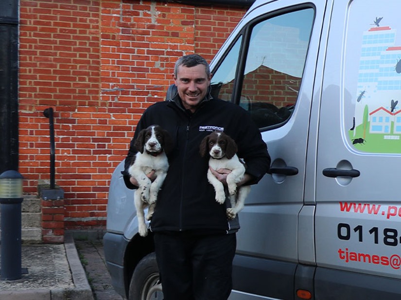 Bracknell Pest Control