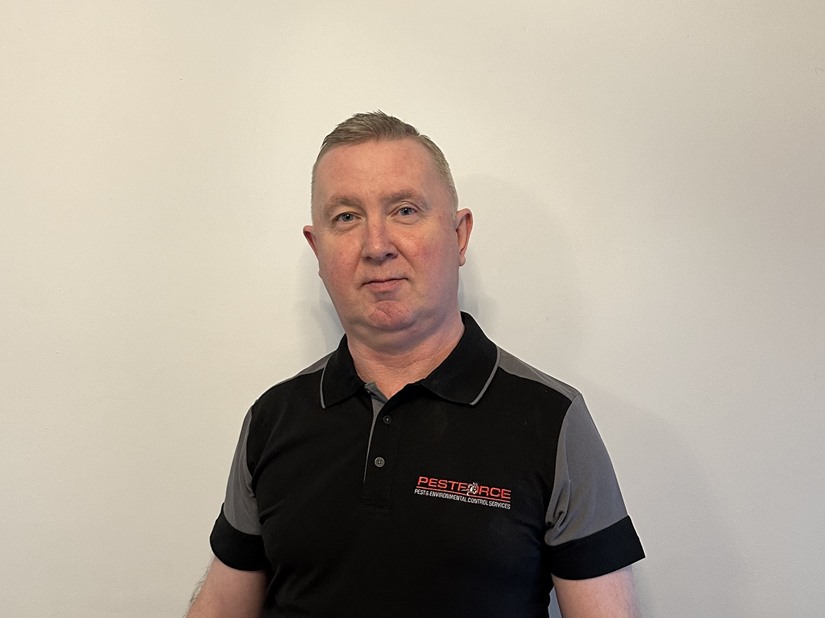 Pest Control North West London