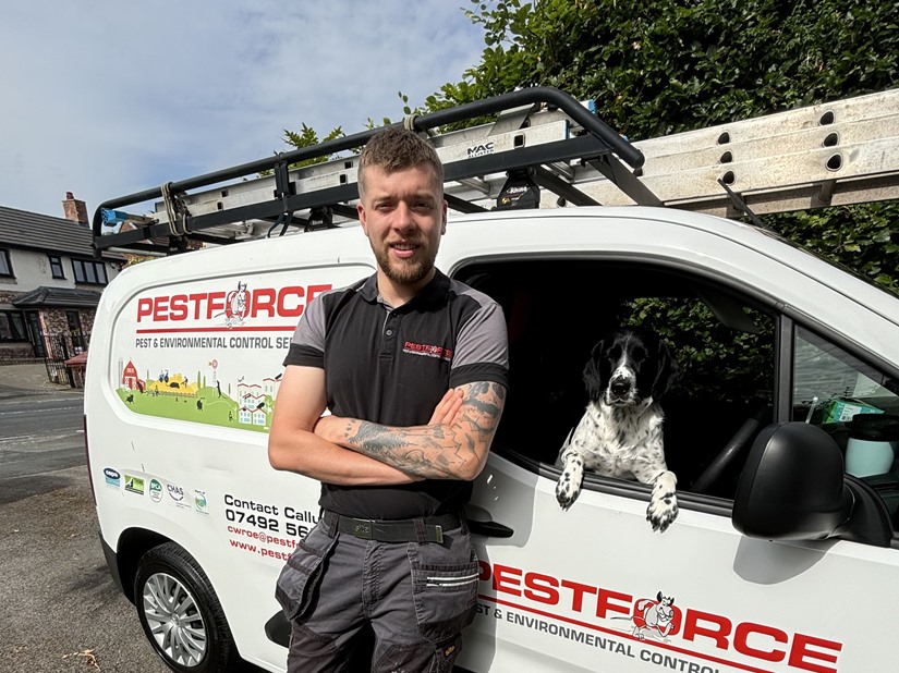 Pest Control Cheshire 
