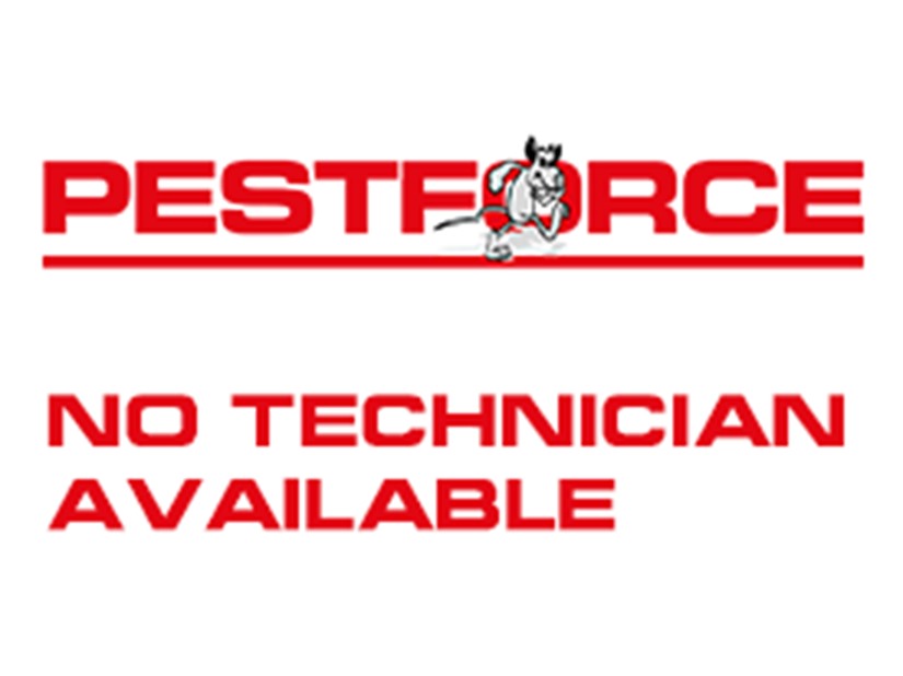 Pest Control Dumfries image