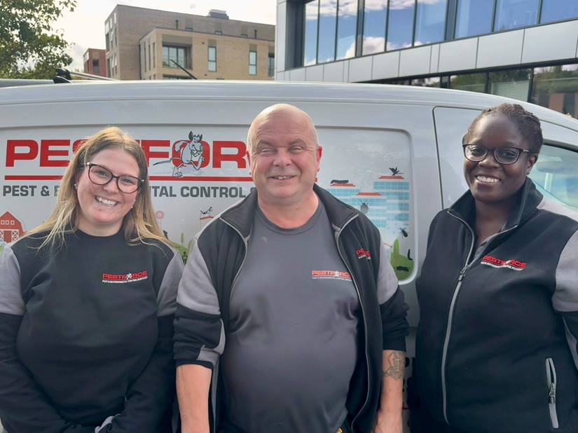 Pest Control Bromley