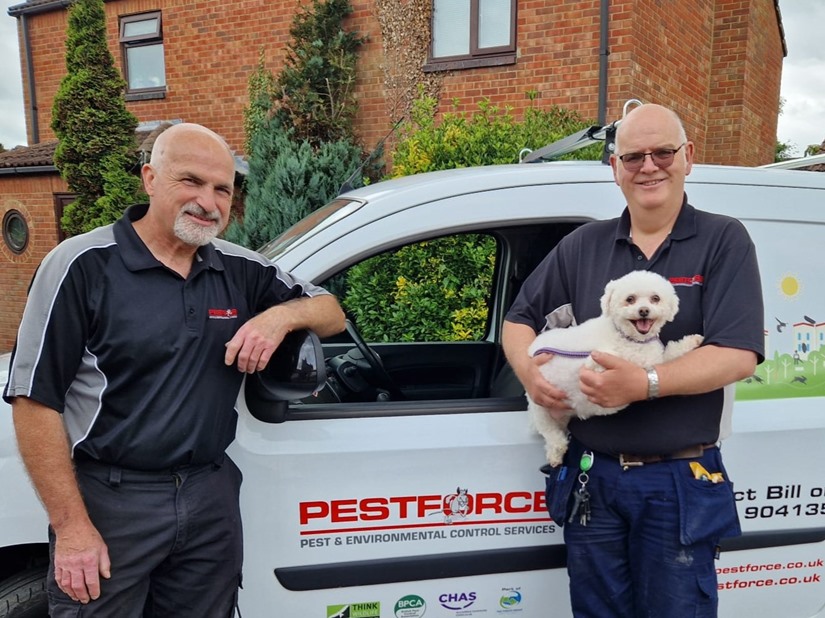Pest Control Peterborough 