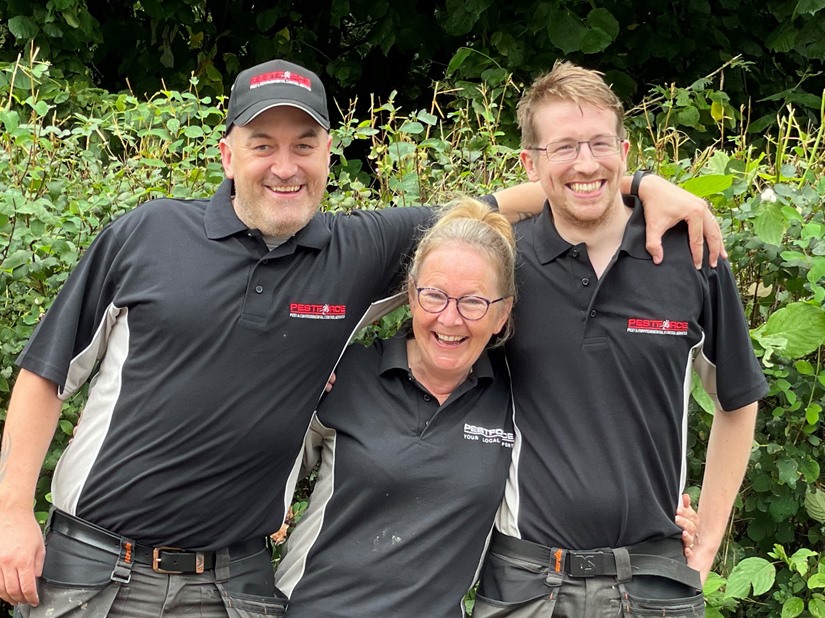 Pest Control  Hounslow 