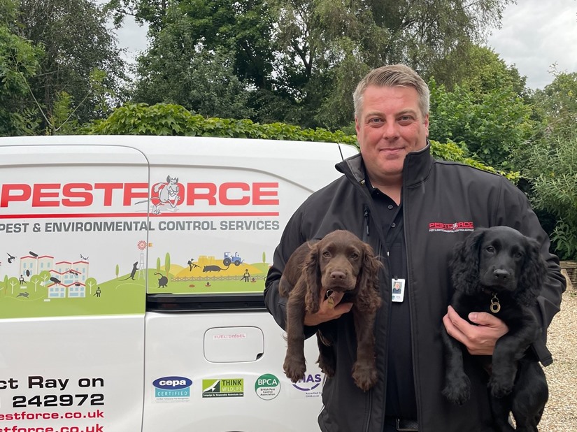 Pest Control Market Rasen