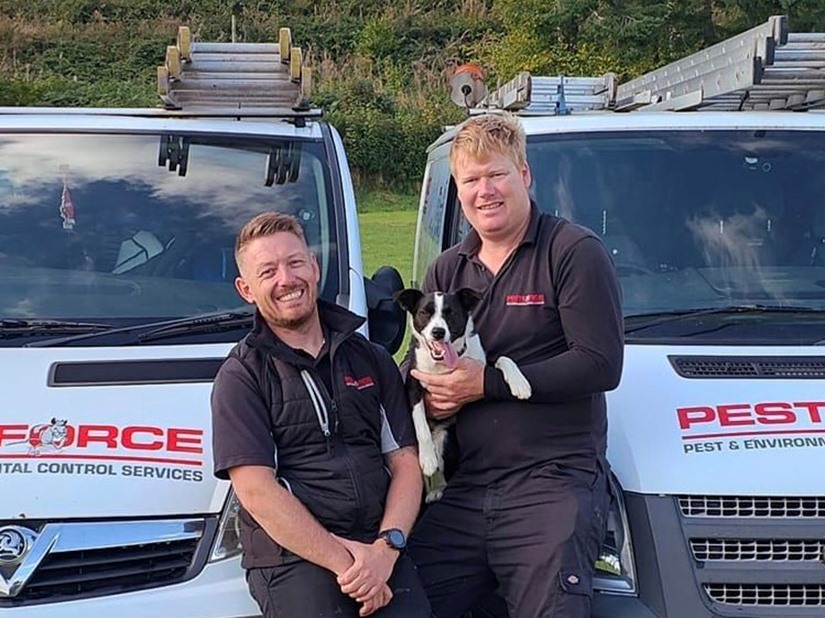 Neath Port Talbot Pest Control