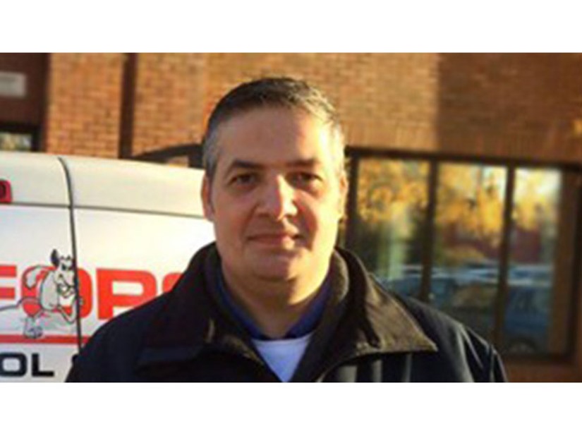 Pest Control Crawley 