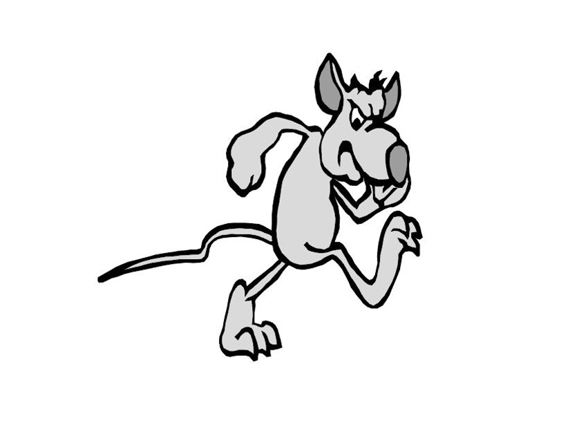 Pest Control Gloucester image