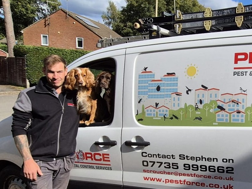 Pest Control Petersfield