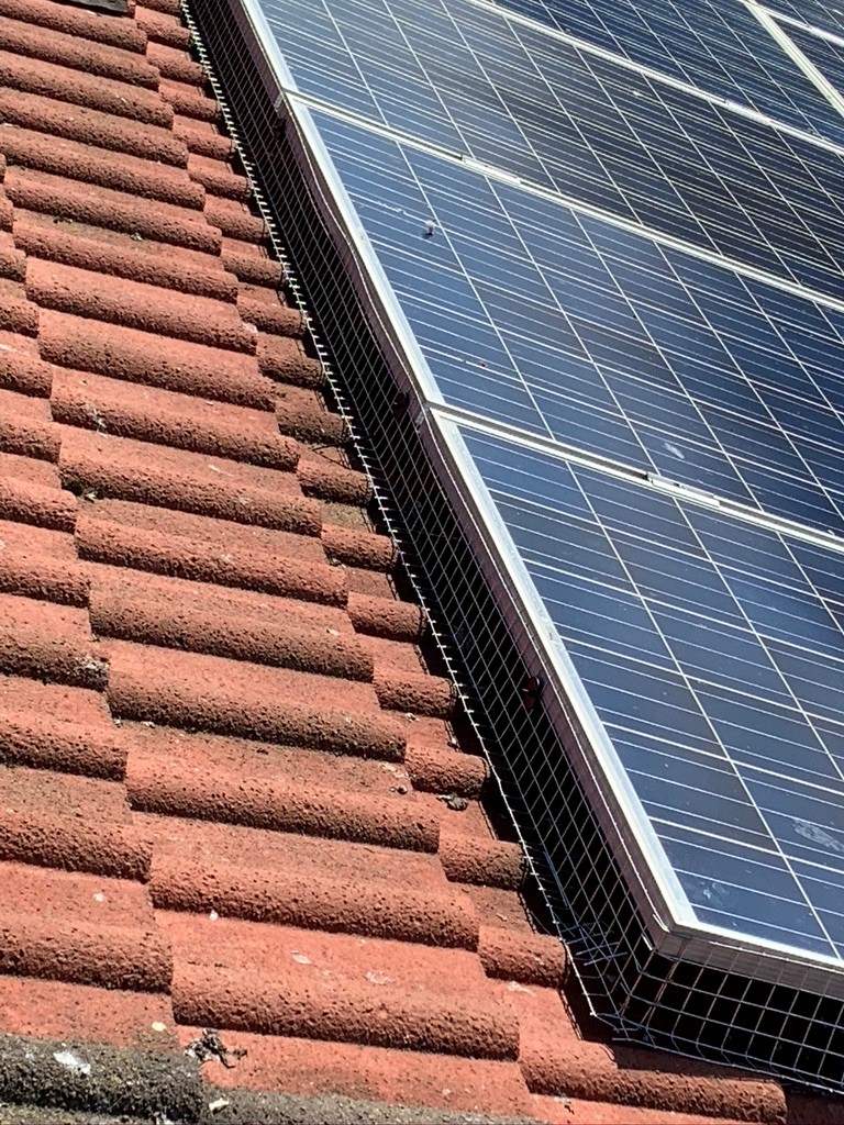 Edinburgh solar panel bird proofing