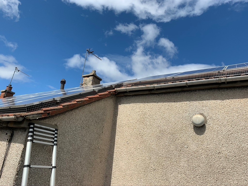 Pidgeon proofing in Edinburgh for solar panels