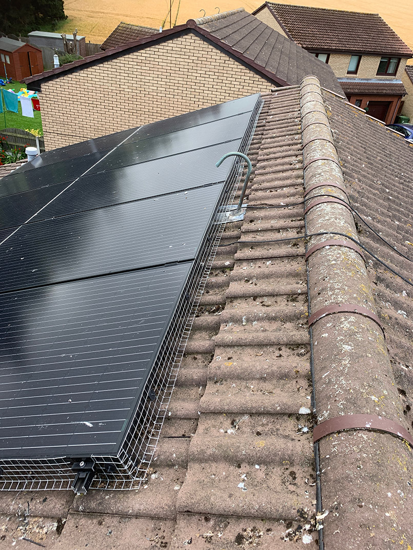 Solar Panel Bird Proofing in Edinburgh