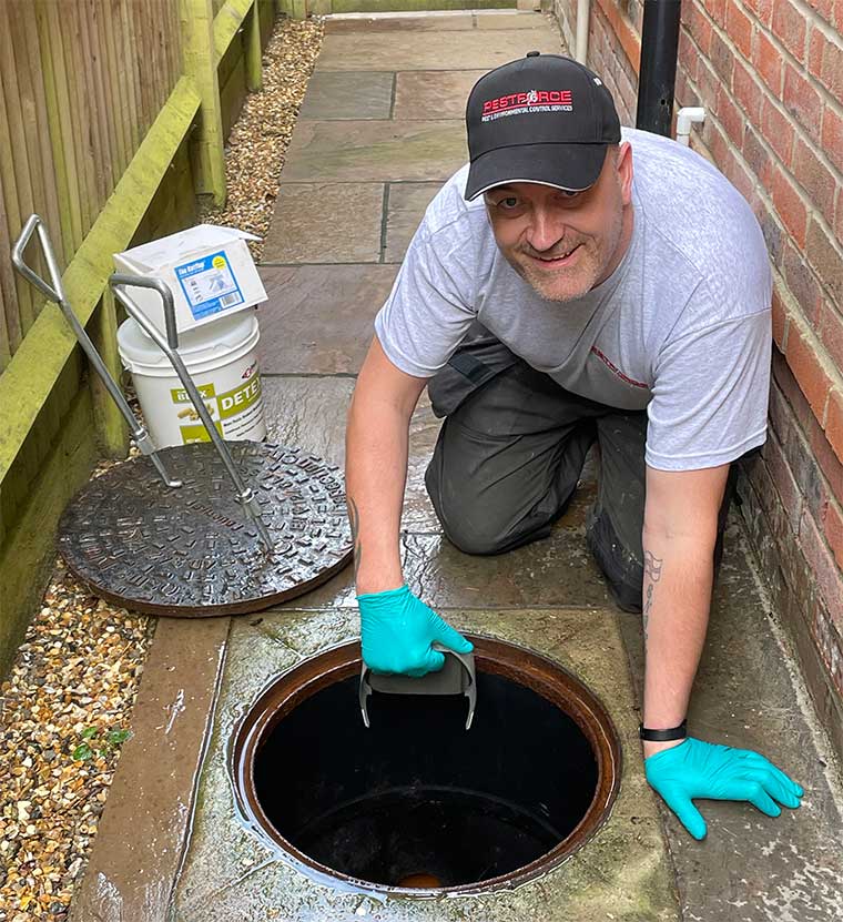 SW London Pest Controller Mark